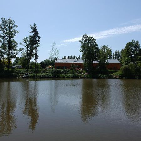 Florennes Gite Neuf 150 M2 Devant Un Grand Lac Prive De 2 Hectares Poissonneux Au Milieu Des Bois 外观 照片