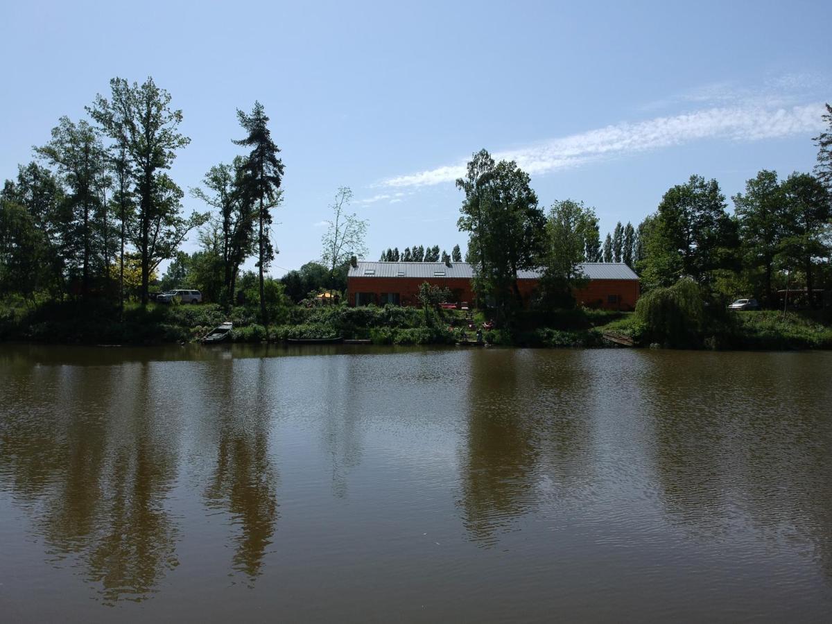 Florennes Gite Neuf 150 M2 Devant Un Grand Lac Prive De 2 Hectares Poissonneux Au Milieu Des Bois 外观 照片