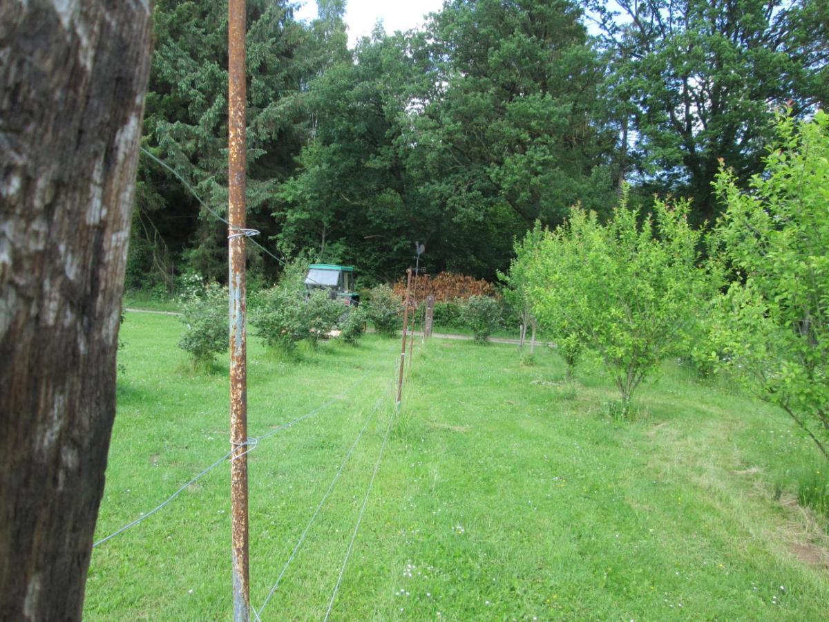 Florennes Gite Neuf 150 M2 Devant Un Grand Lac Prive De 2 Hectares Poissonneux Au Milieu Des Bois 外观 照片