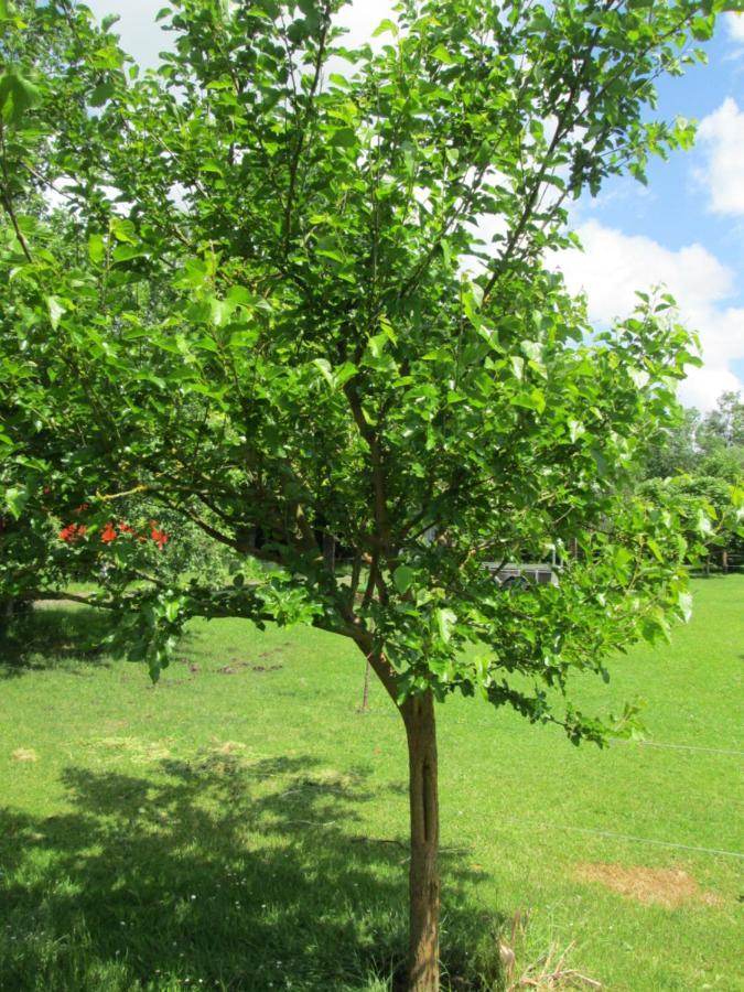 Florennes Gite Neuf 150 M2 Devant Un Grand Lac Prive De 2 Hectares Poissonneux Au Milieu Des Bois 外观 照片