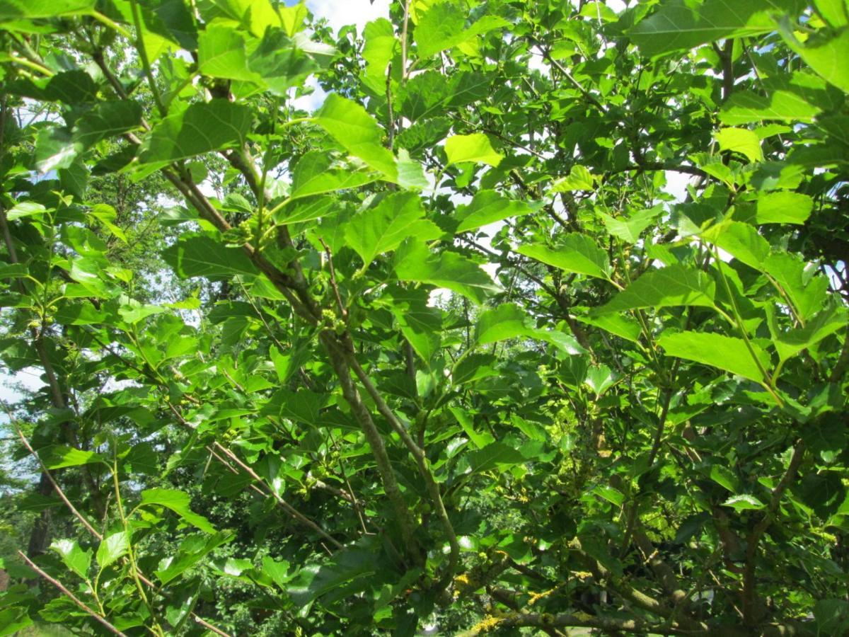 Florennes Gite Neuf 150 M2 Devant Un Grand Lac Prive De 2 Hectares Poissonneux Au Milieu Des Bois 外观 照片