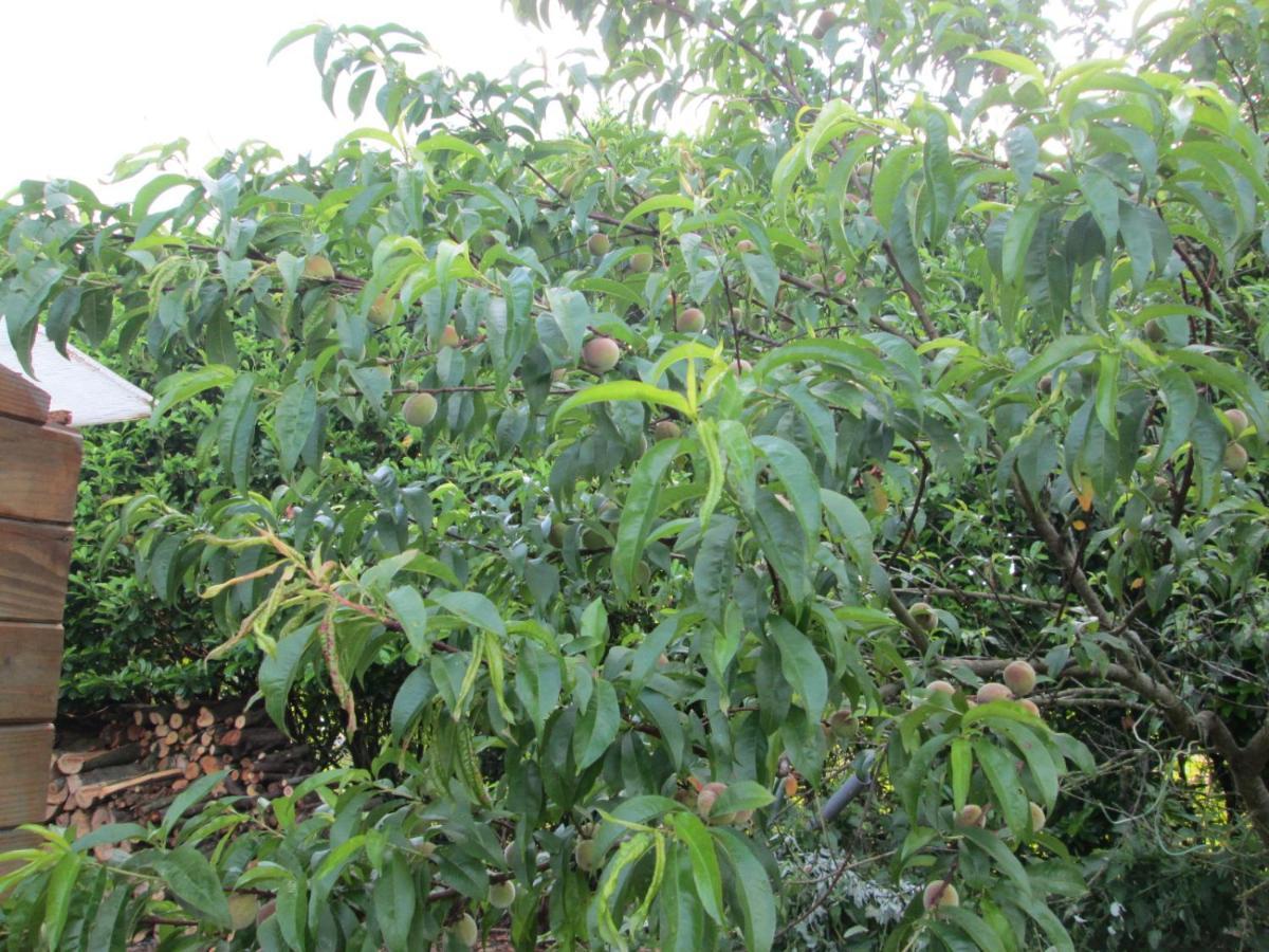 Florennes Gite Neuf 150 M2 Devant Un Grand Lac Prive De 2 Hectares Poissonneux Au Milieu Des Bois 外观 照片