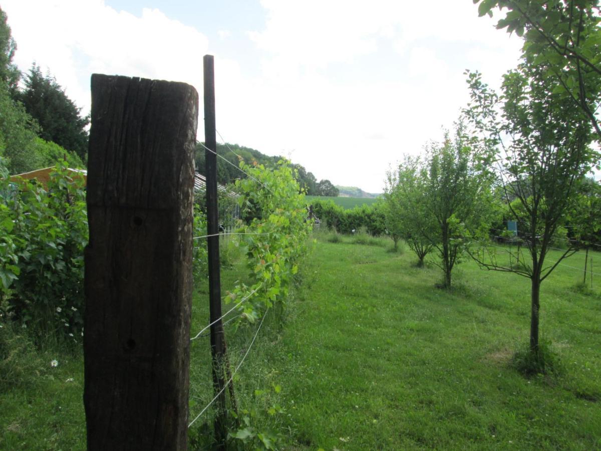 Florennes Gite Neuf 150 M2 Devant Un Grand Lac Prive De 2 Hectares Poissonneux Au Milieu Des Bois 外观 照片
