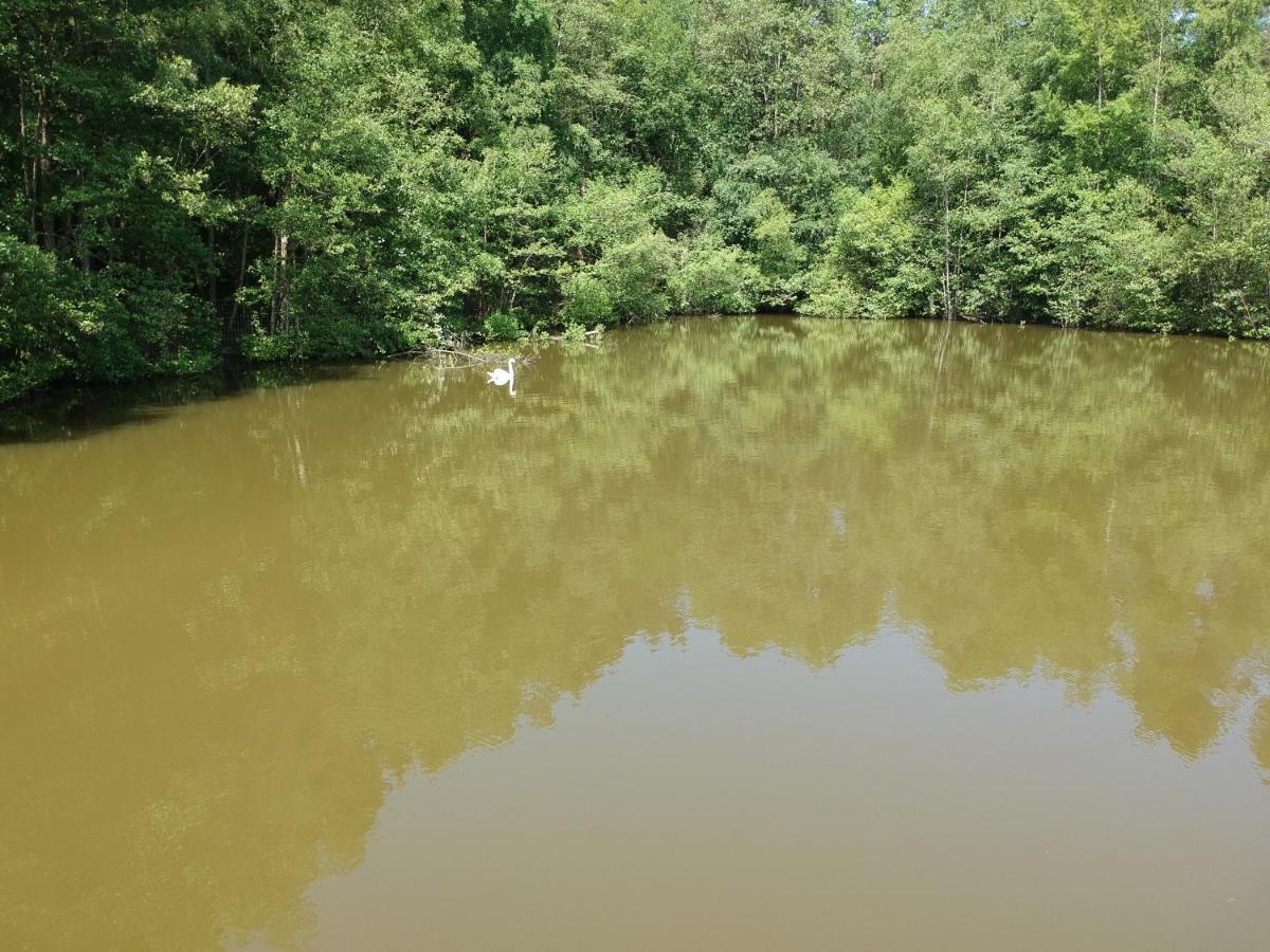 Florennes Gite Neuf 150 M2 Devant Un Grand Lac Prive De 2 Hectares Poissonneux Au Milieu Des Bois 外观 照片