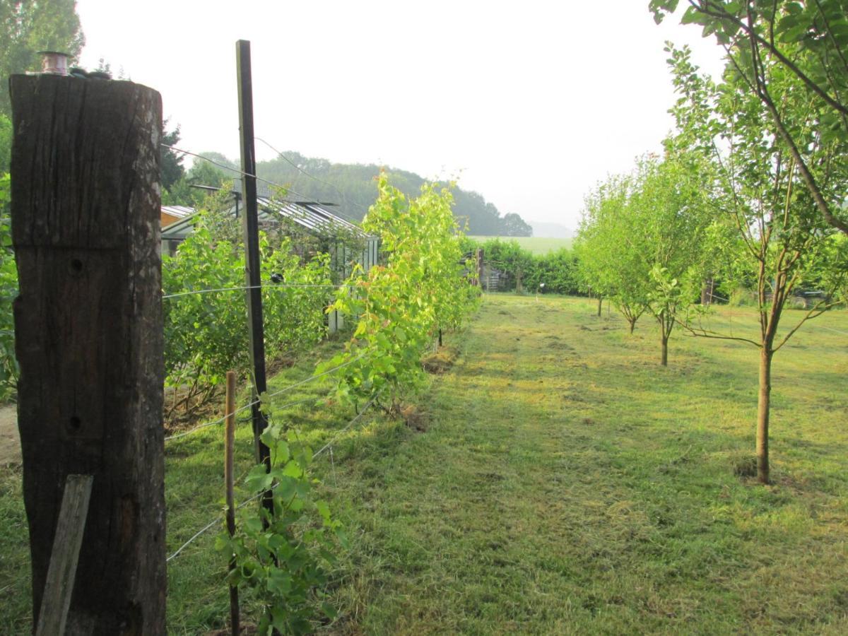 Florennes Gite Neuf 150 M2 Devant Un Grand Lac Prive De 2 Hectares Poissonneux Au Milieu Des Bois 外观 照片
