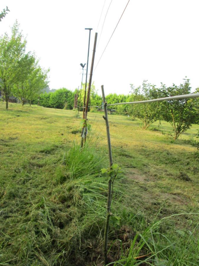 Florennes Gite Neuf 150 M2 Devant Un Grand Lac Prive De 2 Hectares Poissonneux Au Milieu Des Bois 外观 照片