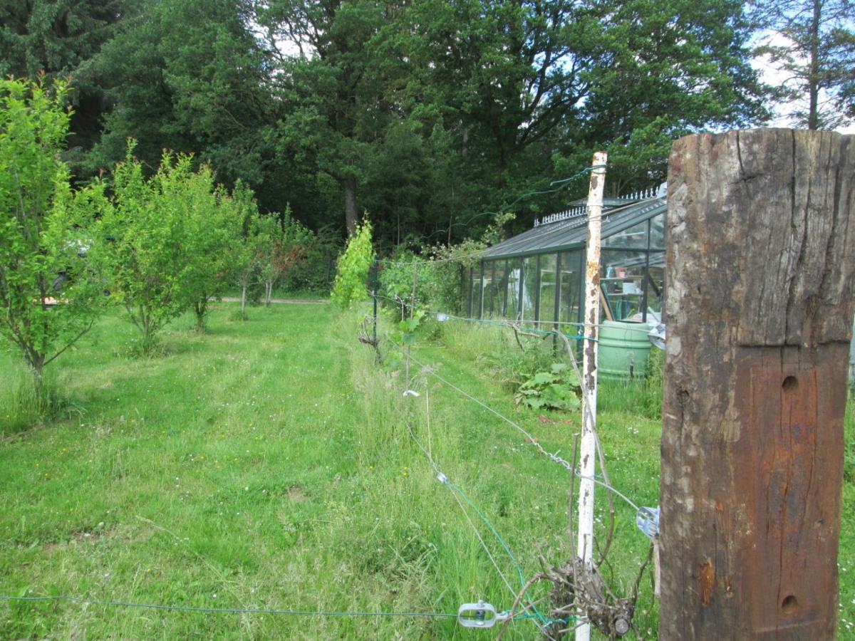 Florennes Gite Neuf 150 M2 Devant Un Grand Lac Prive De 2 Hectares Poissonneux Au Milieu Des Bois 外观 照片