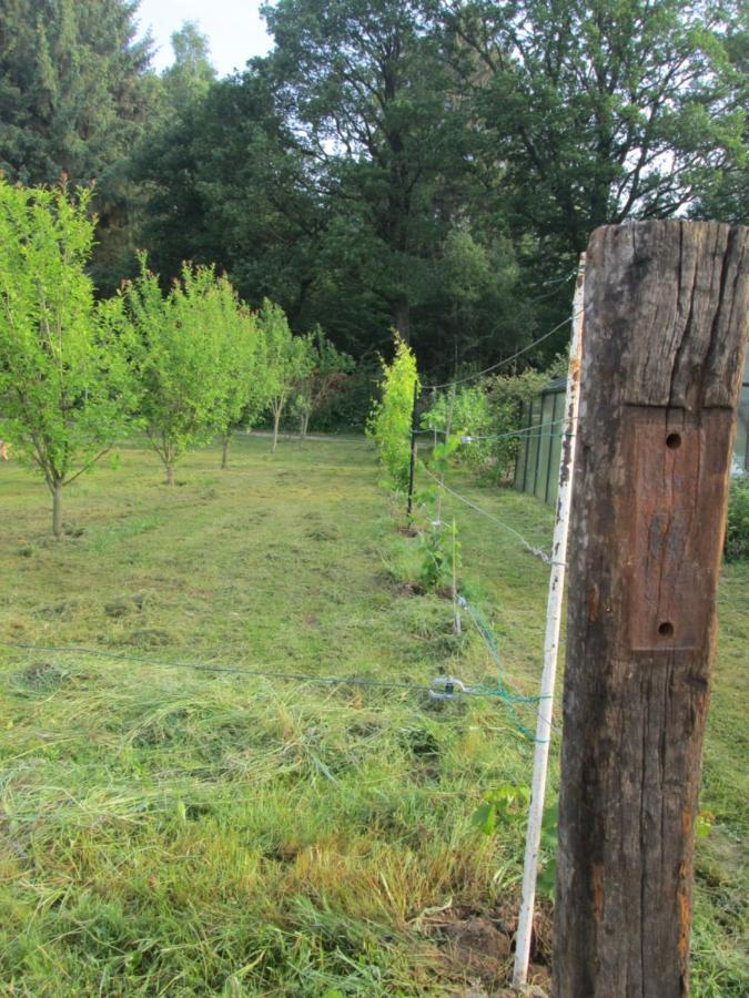 Florennes Gite Neuf 150 M2 Devant Un Grand Lac Prive De 2 Hectares Poissonneux Au Milieu Des Bois 外观 照片