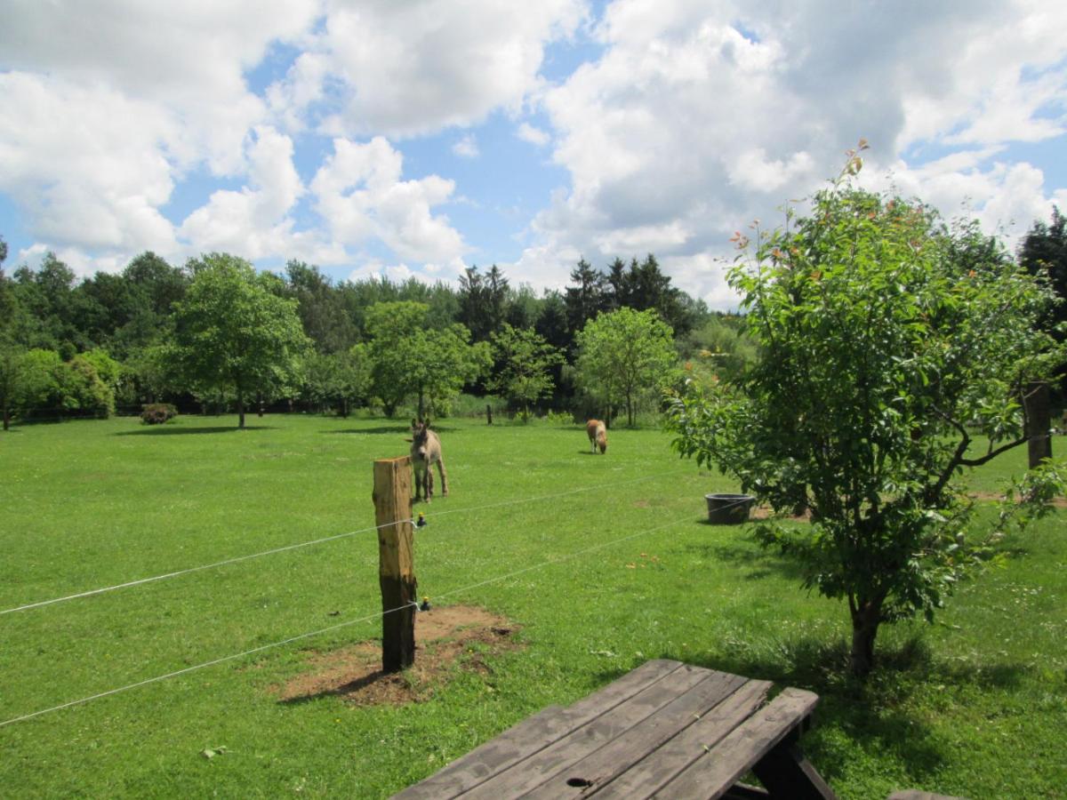 Florennes Gite Neuf 150 M2 Devant Un Grand Lac Prive De 2 Hectares Poissonneux Au Milieu Des Bois 外观 照片