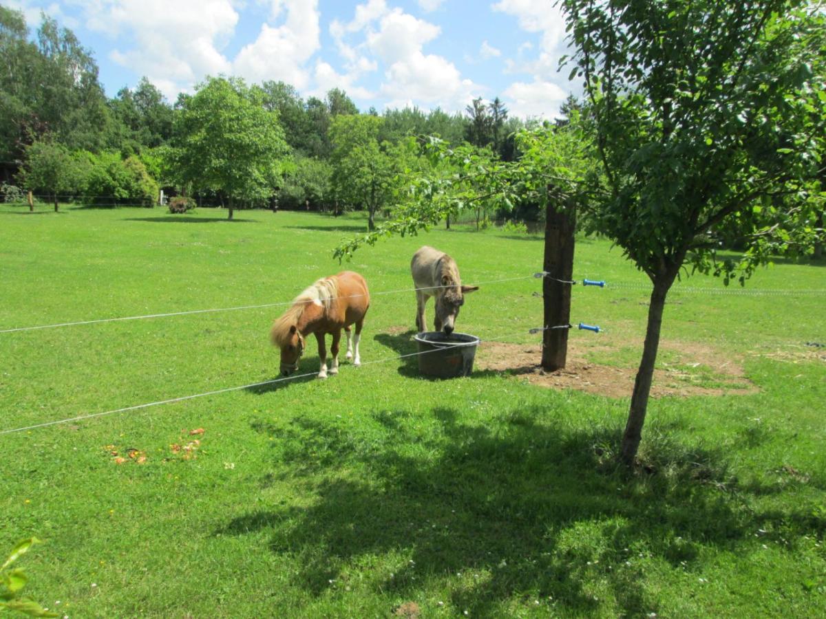 Florennes Gite Neuf 150 M2 Devant Un Grand Lac Prive De 2 Hectares Poissonneux Au Milieu Des Bois 外观 照片