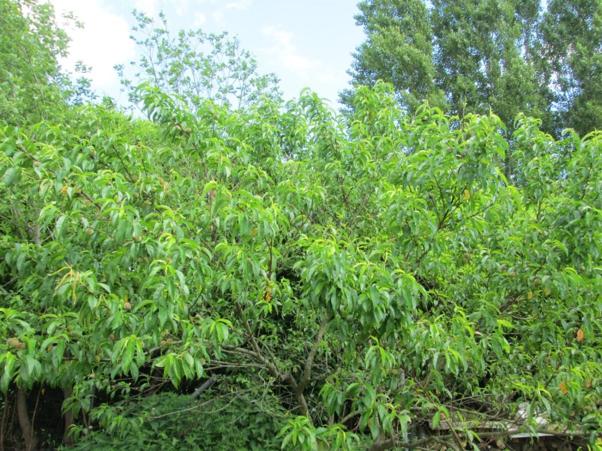 Florennes Gite Neuf 150 M2 Devant Un Grand Lac Prive De 2 Hectares Poissonneux Au Milieu Des Bois 外观 照片