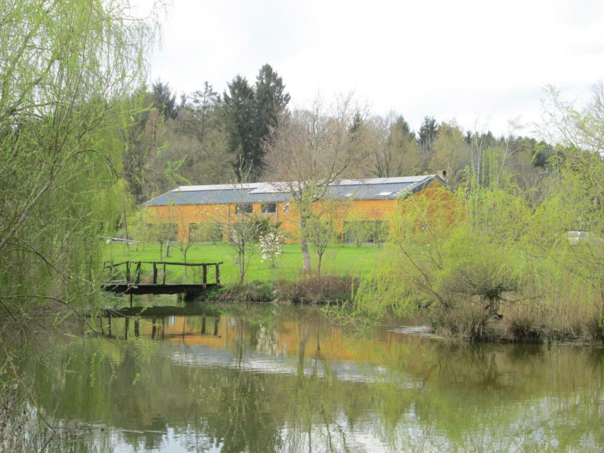 Florennes Gite Neuf 150 M2 Devant Un Grand Lac Prive De 2 Hectares Poissonneux Au Milieu Des Bois 外观 照片