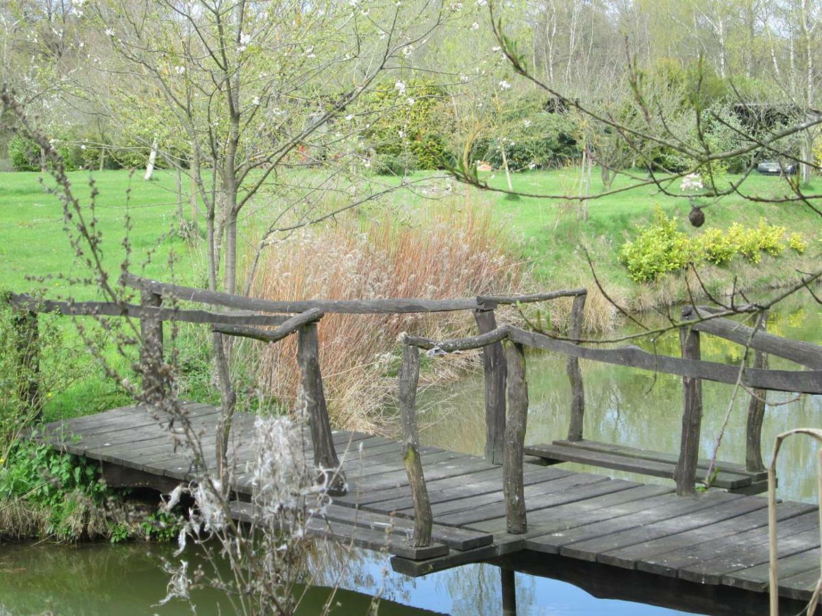 Florennes Gite Neuf 150 M2 Devant Un Grand Lac Prive De 2 Hectares Poissonneux Au Milieu Des Bois 外观 照片