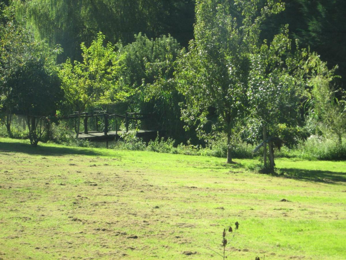 Florennes Gite Neuf 150 M2 Devant Un Grand Lac Prive De 2 Hectares Poissonneux Au Milieu Des Bois 外观 照片