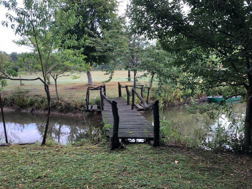 Florennes Gite Neuf 150 M2 Devant Un Grand Lac Prive De 2 Hectares Poissonneux Au Milieu Des Bois 外观 照片