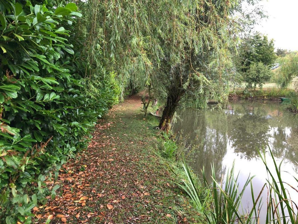Florennes Gite Neuf 150 M2 Devant Un Grand Lac Prive De 2 Hectares Poissonneux Au Milieu Des Bois 外观 照片