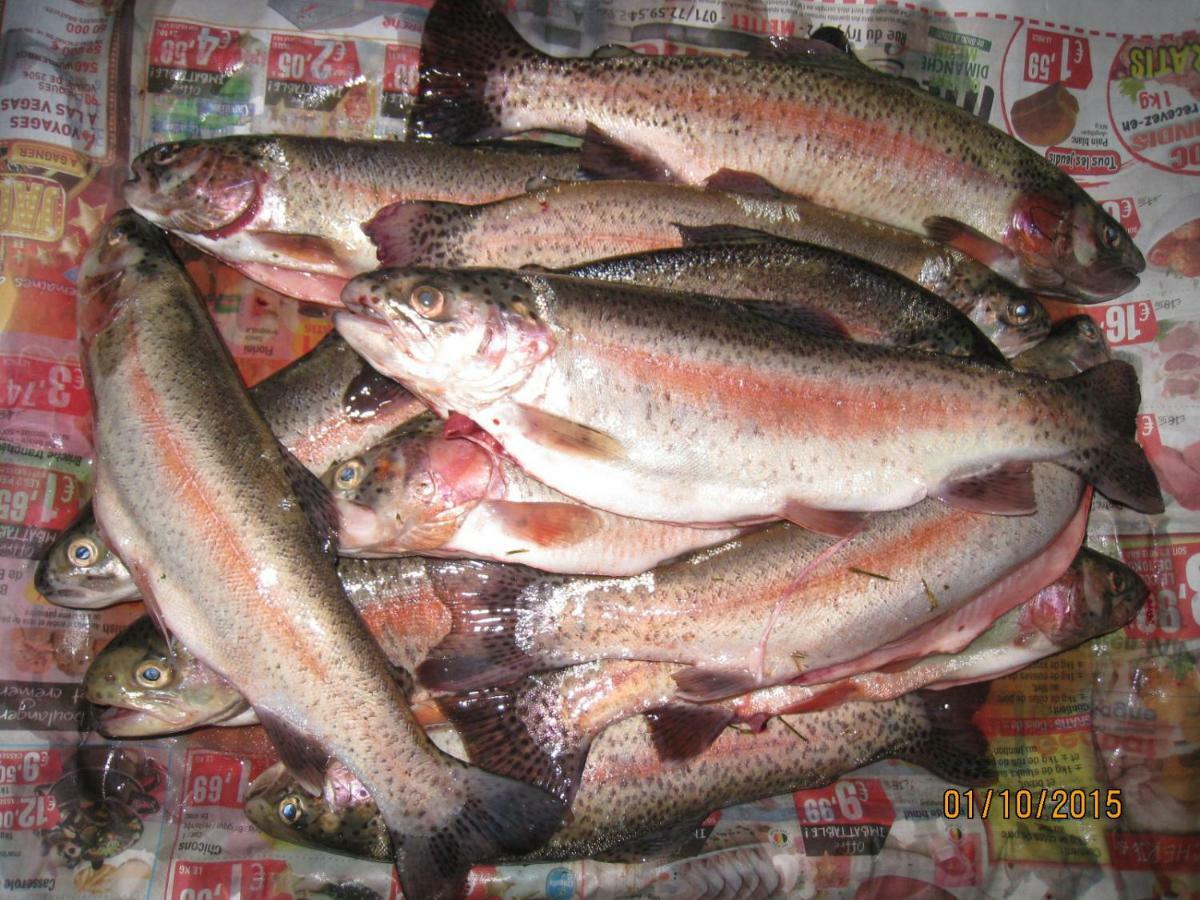 Florennes Gite Neuf 150 M2 Devant Un Grand Lac Prive De 2 Hectares Poissonneux Au Milieu Des Bois 外观 照片